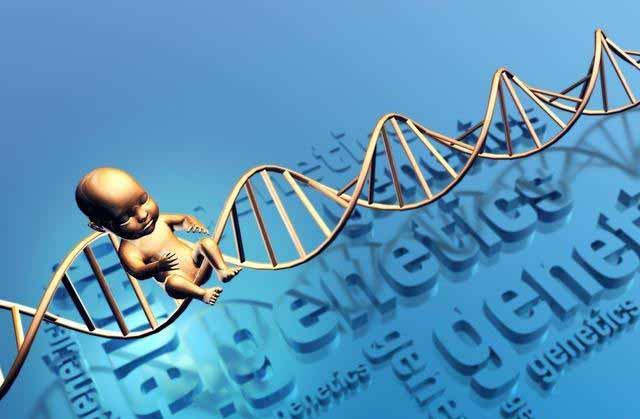 DNA在人死后数十年都不会分解？