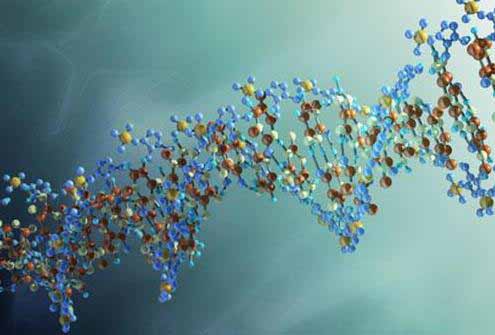 DNA在人死后数十年都不会分解？